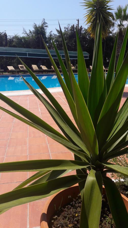 Otel Rebin 3*