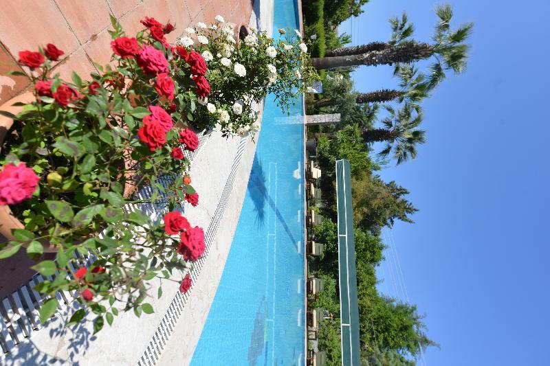 Otel Rebin